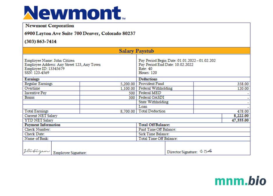 USA Newmont Corporation mining company pay stub